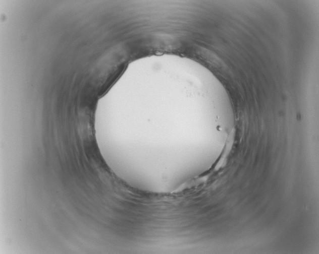 X0000070421058200607072329