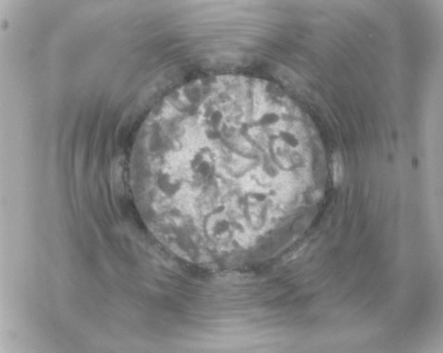 X0000070421059200607072329