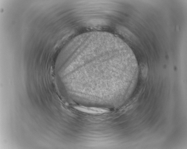 X0000070421060200607072329