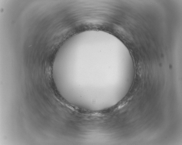 X0000070421061200607072329