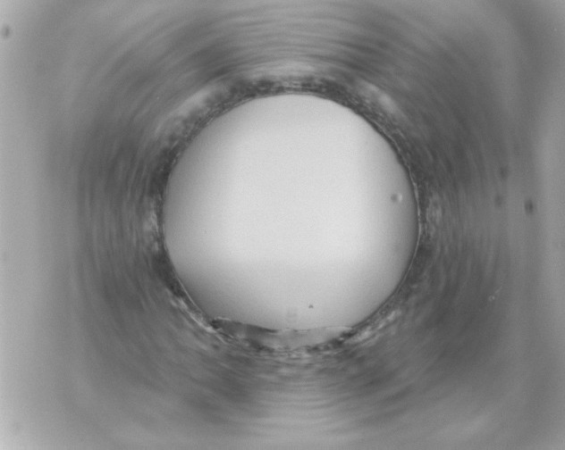 X0000070421062200607072329