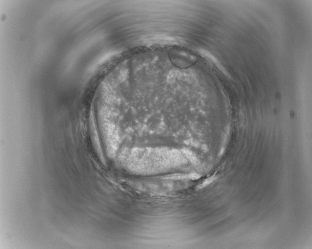 X0000070421063200607072329