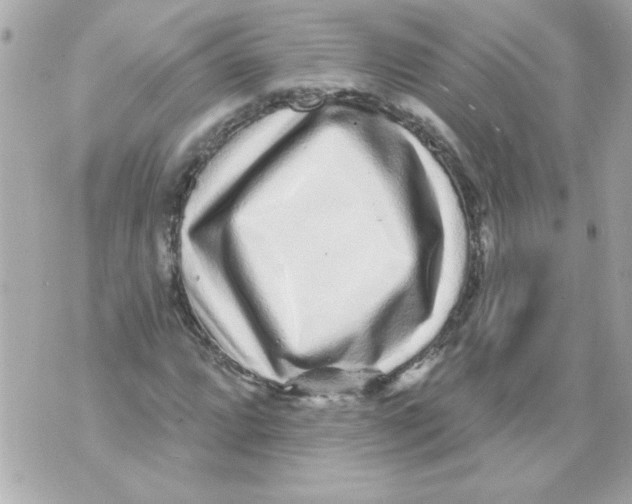 X0000070421064200607072329