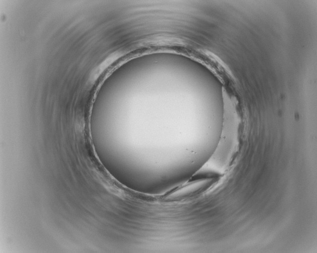 X0000070421065200607072329