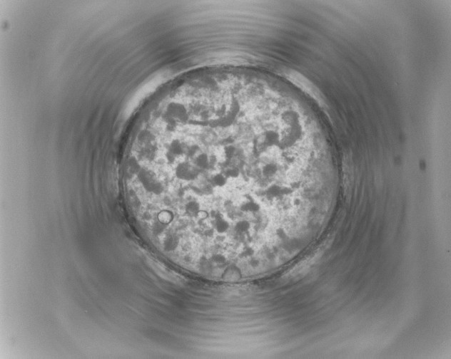 X0000070421067200607072329