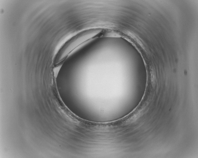 X0000070421069200607072329