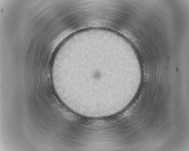 X0000070421070200607072328