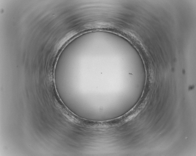 X0000070421073200607072328