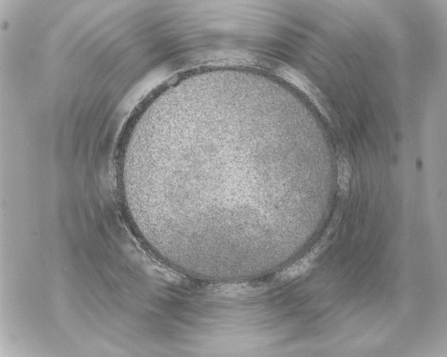 X0000070421074200607072328