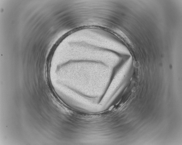 X0000070421076200607072328