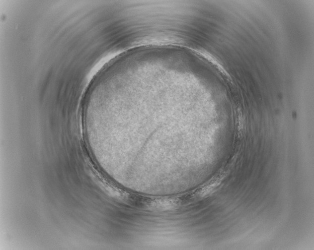 X0000070421078200607072328