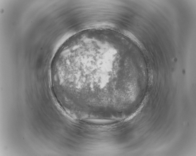 X0000070421079200607072328