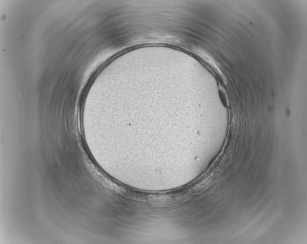 X0000070421080200607072328