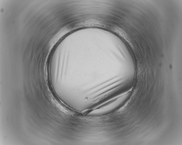 X0000070421082200607072328