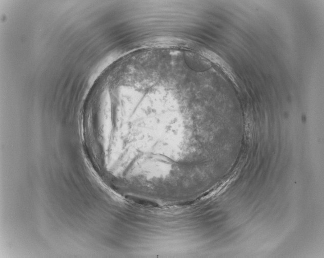 X0000070421083200607072328