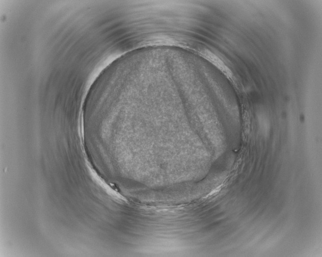 X0000070421084200607072328