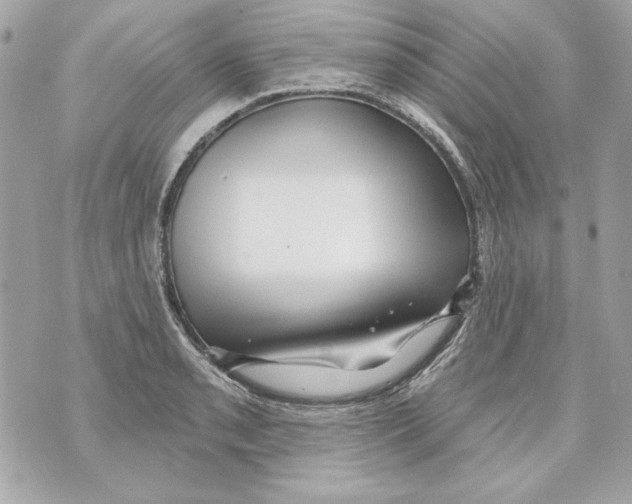 X0000070421085200607072328