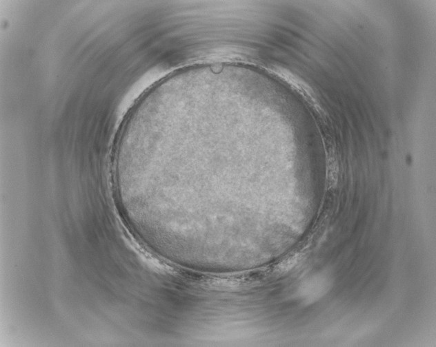 X0000070421086200607072328