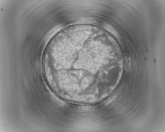 X0000070421087200607072328