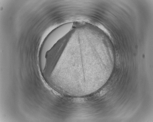 X0000070421088200607072328