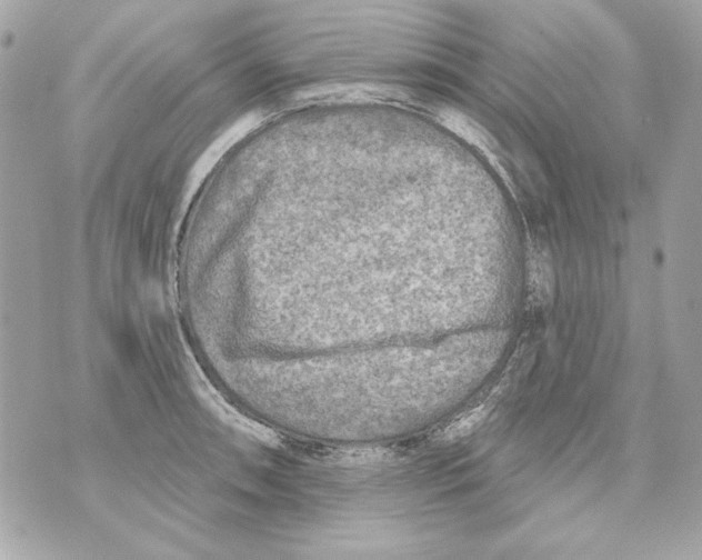 X0000070421090200607072328