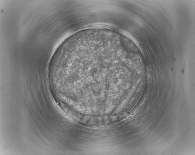 X0000070421091200607072328