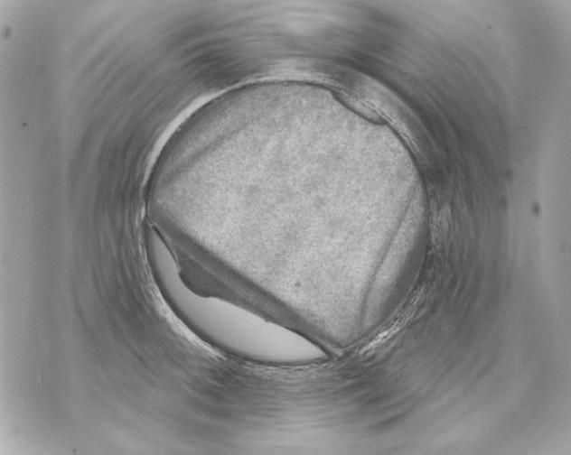 X0000070421092200607072328