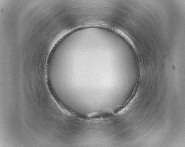 X0000070421093200607072328