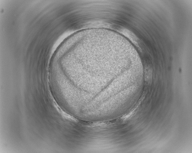 X0000070421094200607072328