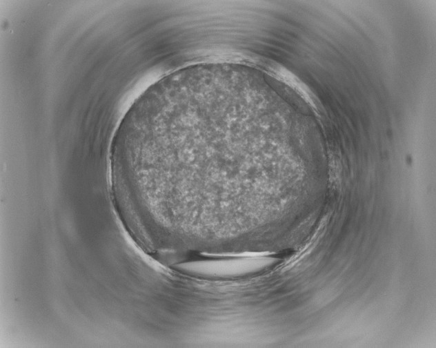 X0000070421095200607072328