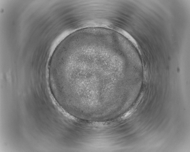 X0000070421096200607072328