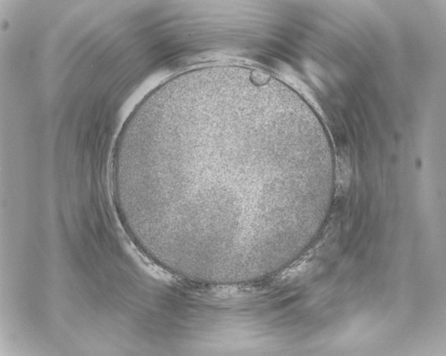 X0000070421098200607072328