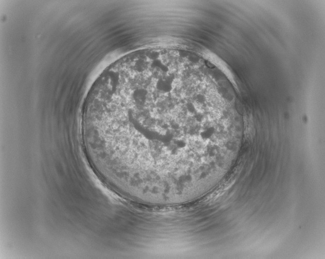 X0000070421099200607072328