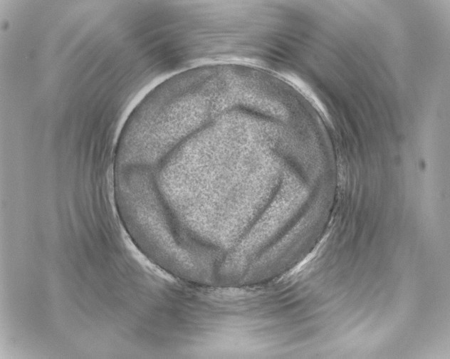 X0000070421100200607072328