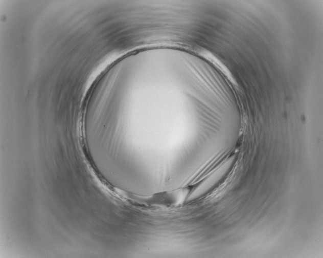 X0000070421101200607072328