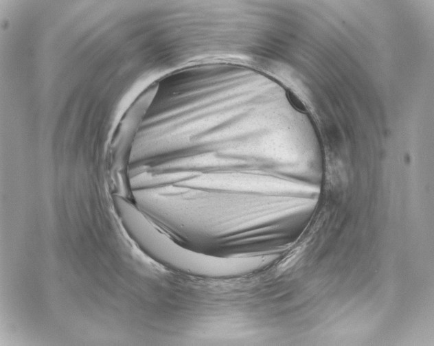 X0000070421102200607072328