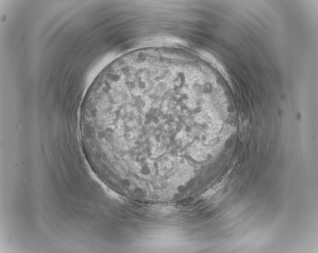 X0000070421103200607072328