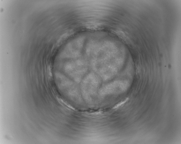 X0000070421106200607072327