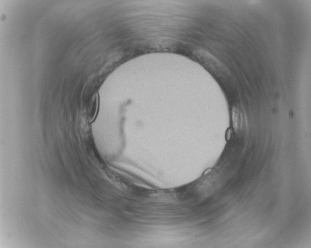 X0000070421107200607072327