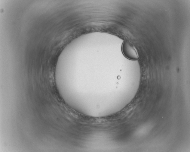 X0000070421109200607072327