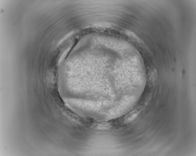 X0000070421110200607072327