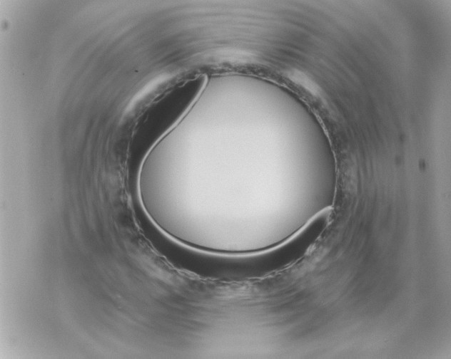 X0000070421112200607072327