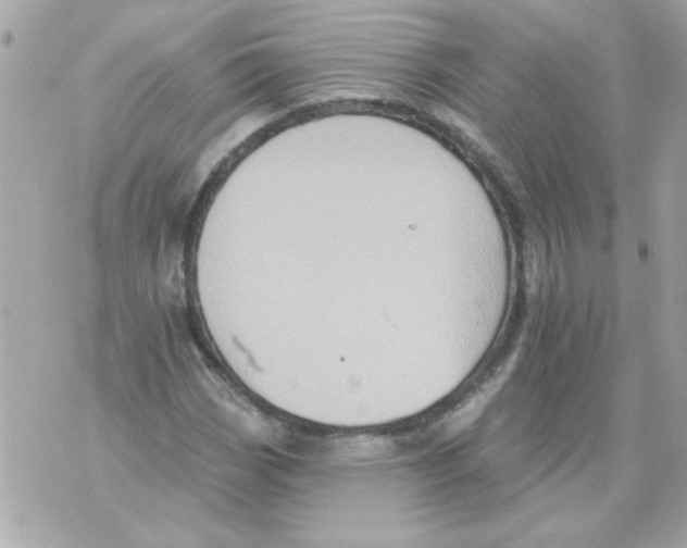 X0000070421113200607072327