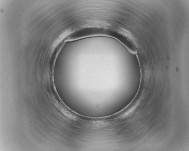 X0000070421114200607072327