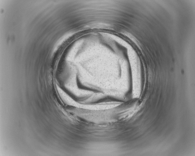 X0000070421115200607072327