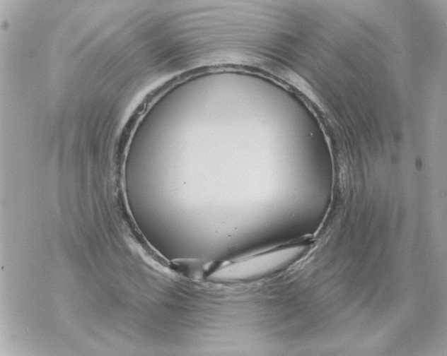 X0000070421116200607072327