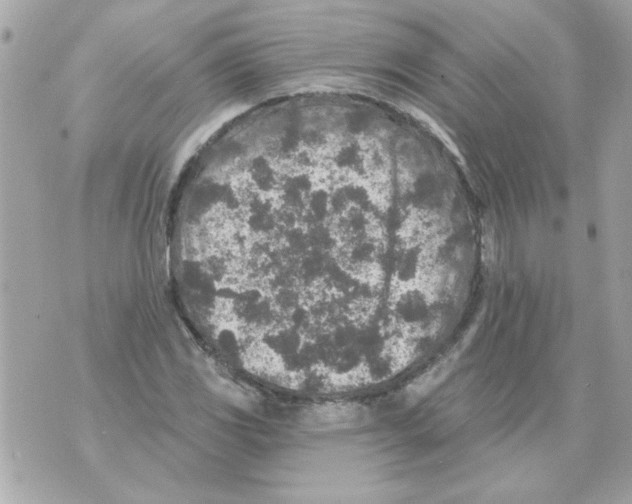 X0000070421117200607072327