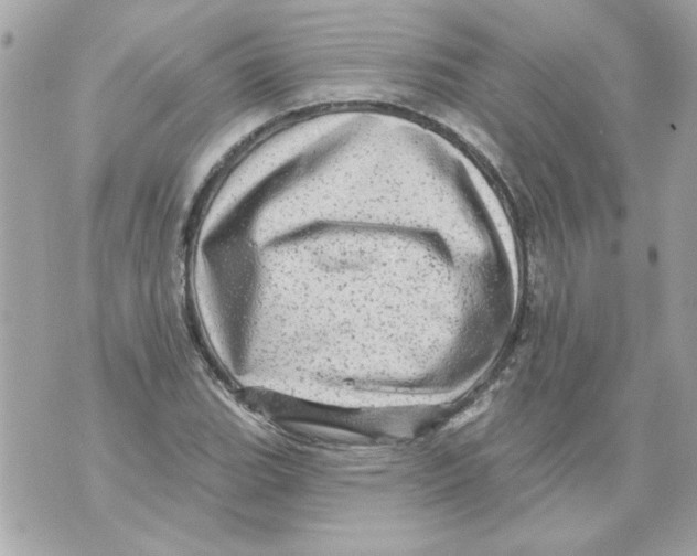 X0000070421119200607072327