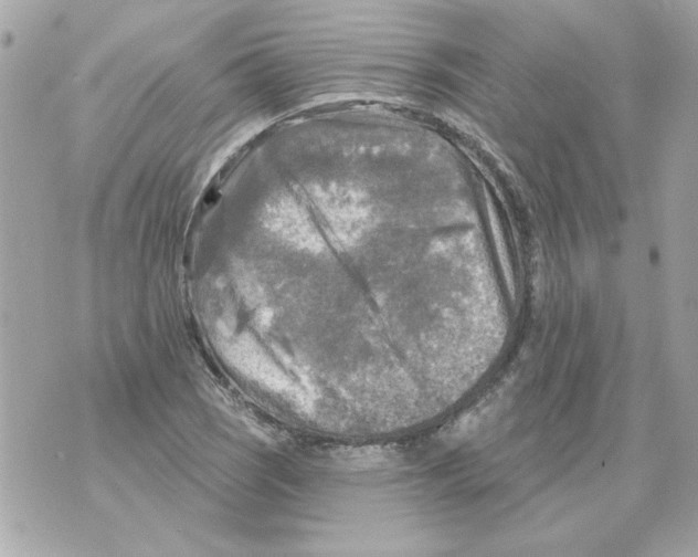 X0000070421121200607072327