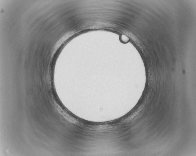 X0000070421122200607072327